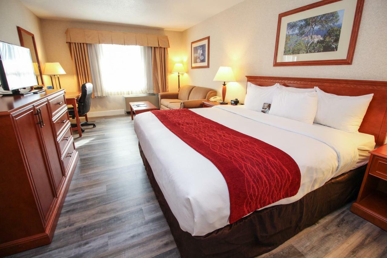 Comfort Inn & Suites 빅토리아 외부 사진